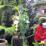 Hozenji Temple (Mizukake Fudo)