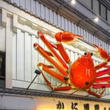 Kani Doraku Dotonbori Honten
