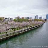 Kema Sakuranomiya Park