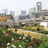 Nakanoshima Park