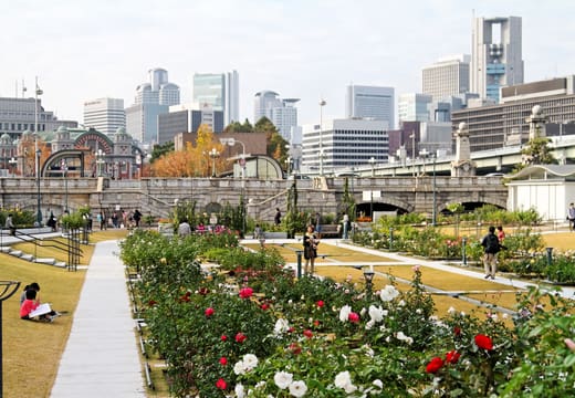 Rose garden in Nakanoshima Park with the city skyline behind