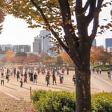Ogimachi Park