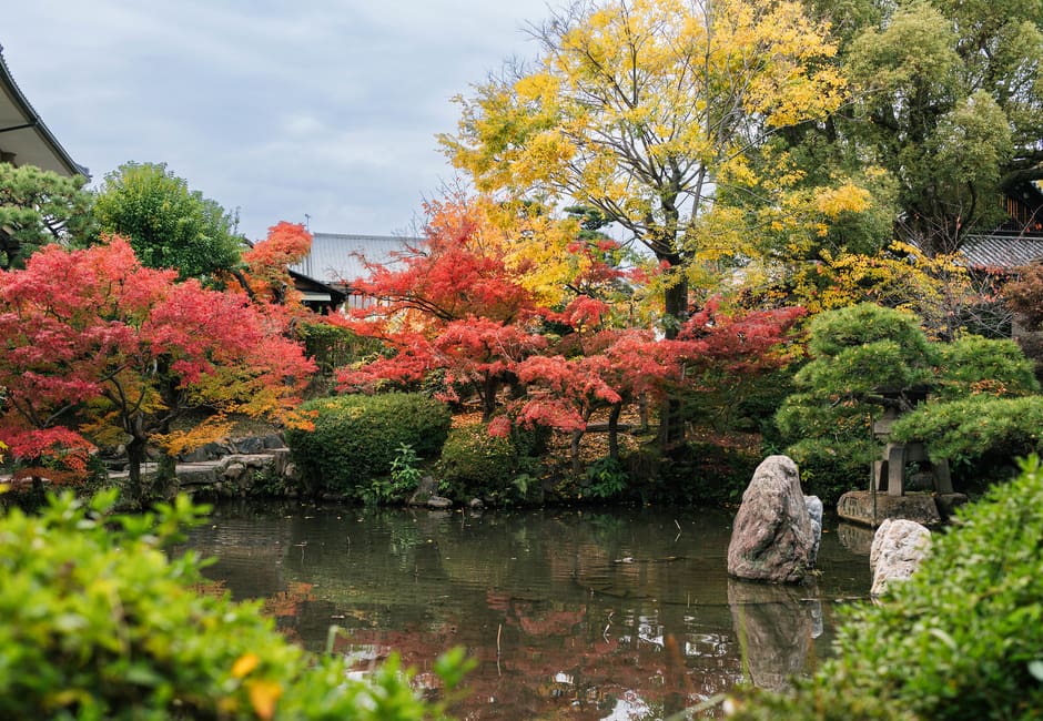 Pond with rocks and autumn maples in the Japanese garden beside Shitenno-ji temple, Osaka